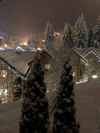 Шале Bukovynskiy Zatyshok Chalet Буковель Шале с 3 спальнями-74